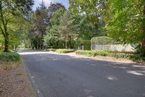 Street View- click for photo gallery